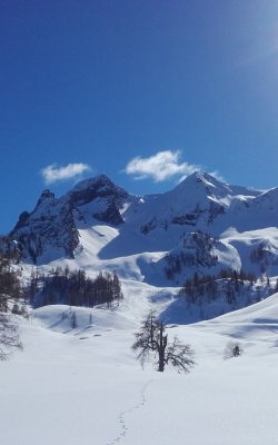 3 Brüder