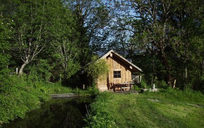 Die Alm im Sommer 2012