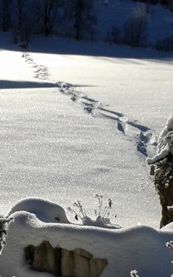 2 Spuren im Schnee nach Haus