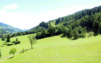 Ausblick (Panorama)