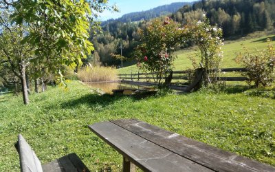 Teich