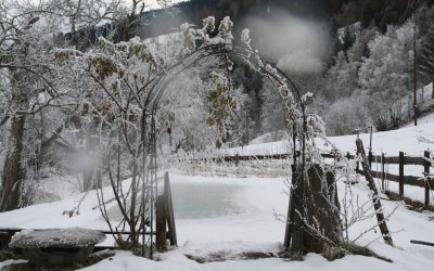 Teich im Winter