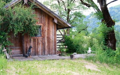 Die Alm im Sommer 2017
